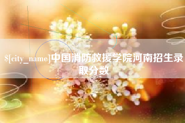 防城港中国消防救援学院河南招生录取分数