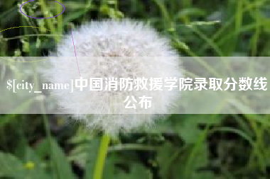 防城港中国消防救援学院录取分数线公布
