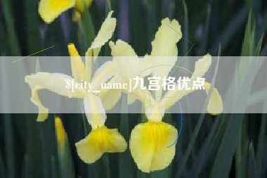 防城港九宫格优点