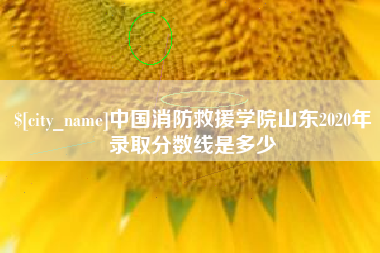 防城港中国消防救援学院山东2020年录取分数线是多少