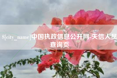 防城港中国执政信息公开网-失信人员查询页