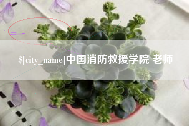 防城港中国消防救援学院 老师