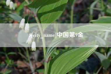 防城港中国第9金