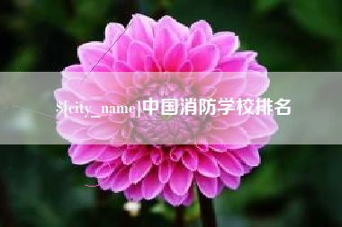 防城港中国消防学校排名