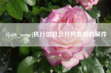 防城港执行信息公开网查到的案件