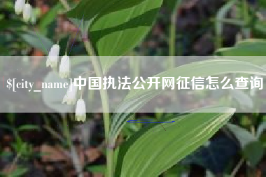 防城港中国执法公开网征信怎么查询