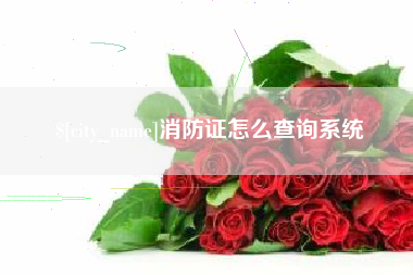 防城港消防证怎么查询系统
