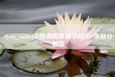 防城港中国消防救援学院2019录取分数线