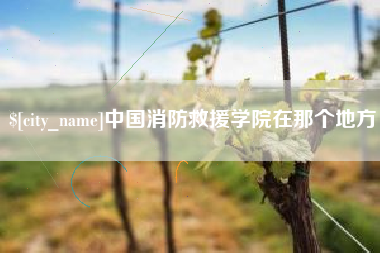 防城港中国消防救援学院在那个地方
