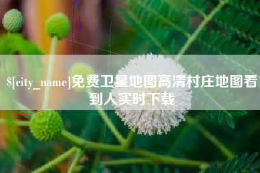 防城港免费卫星地图高清村庄地图看到人实时下载