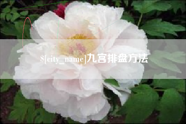 防城港九宫排盘方法