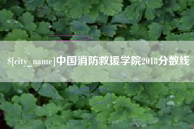 防城港中国消防救援学院2018分数线