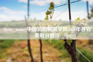 防城港中国消防救援学院2020年各省录取分数线