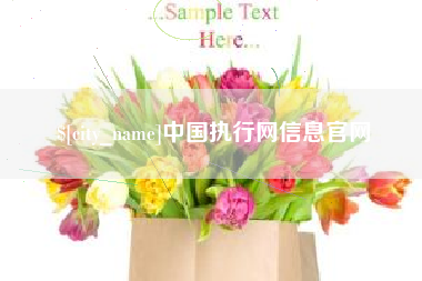 防城港中国执行网信息官网