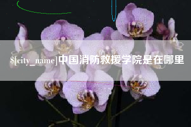 防城港中国消防救援学院是在哪里