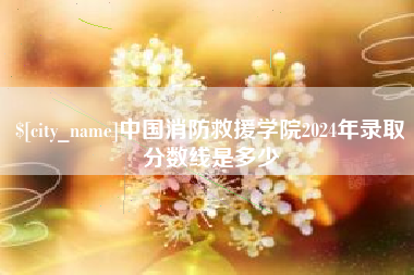 防城港中国消防救援学院2024年录取分数线是多少