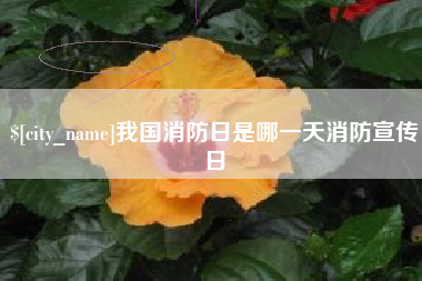 防城港我国消防日是哪一天消防宣传日