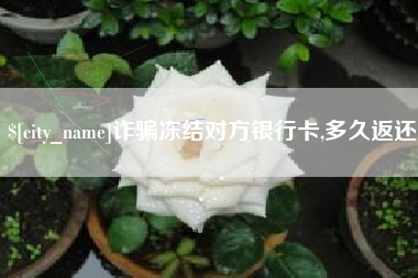 防城港诈骗冻结对方银行卡,多久返还