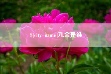 防城港九金是谁