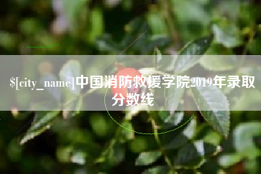 防城港中国消防救援学院2019年录取分数线
