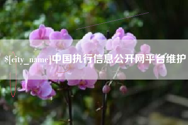 防城港中国执行信息公开网平台维护