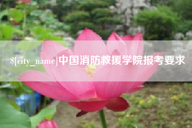 防城港中国消防救援学院报考要求