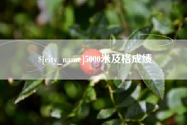 防城港5000米及格成绩