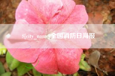 防城港全国消防日海报