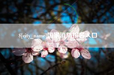 防城港国家消防报名入口