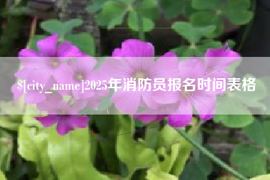 防城港2025年消防员报名时间表格