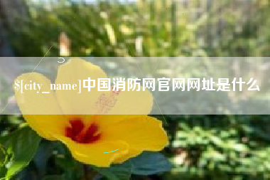 防城港中国消防网官网网址是什么