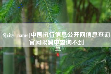 防城港中国执行信息公开网信息查询官网限消中查询不到