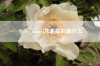防城港九金指的是什么