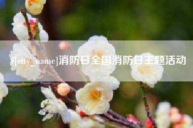 防城港消防日全国消防日主题活动