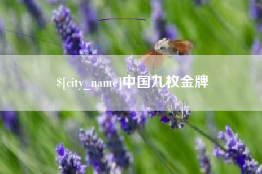 防城港中国九枚金牌