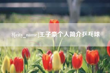 防城港王子豪个人简介乒乓球