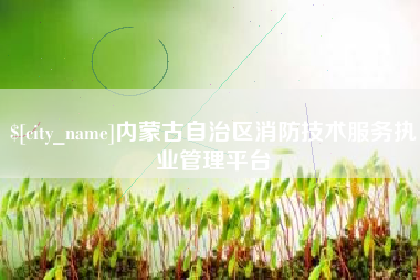 防城港内蒙古自治区消防技术服务执业管理平台