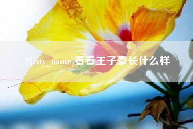 防城港看看王子豪长什么样