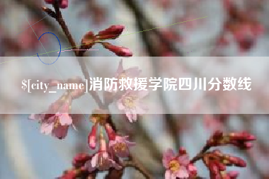 防城港消防救援学院四川分数线