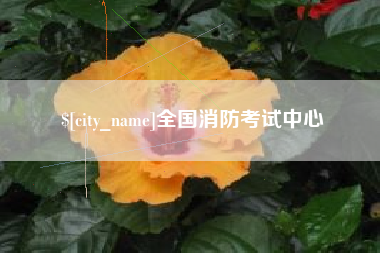 防城港全国消防考试中心