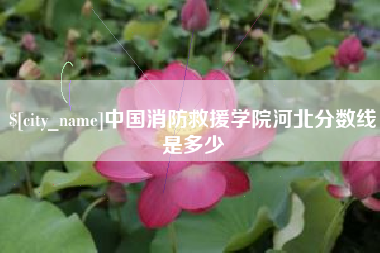 防城港中国消防救援学院河北分数线是多少