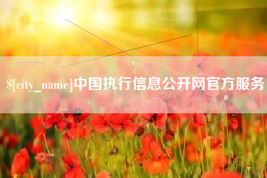 防城港中国执行信息公开网官方服务