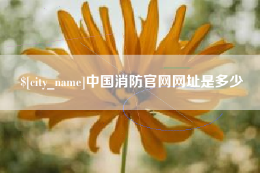 防城港中国消防官网网址是多少