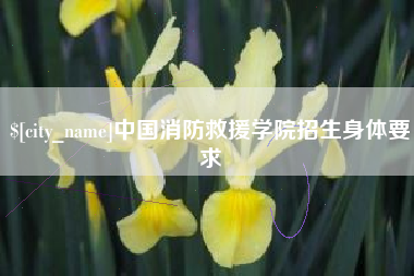 防城港中国消防救援学院招生身体要求