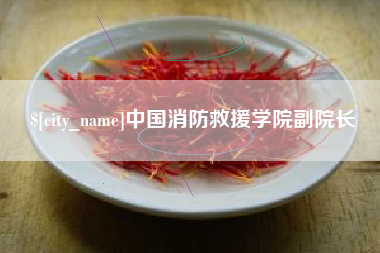 防城港中国消防救援学院副院长