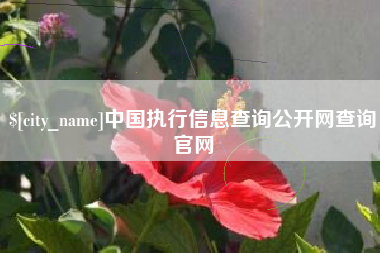 防城港中国执行信息查询公开网查询官网