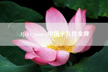 防城港中国十九枚金牌