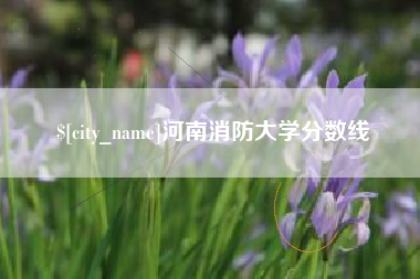 防城港河南消防大学分数线