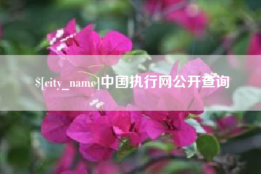 防城港中国执行网公开查询
