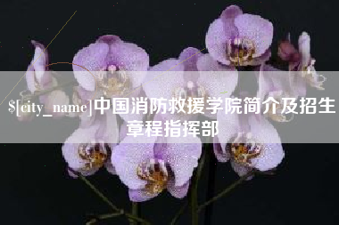 防城港中国消防救援学院简介及招生章程指挥部